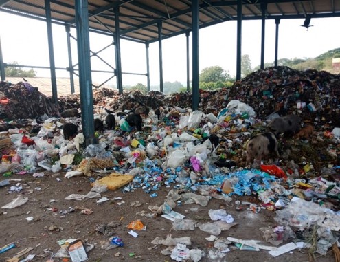 Harmful Disposal of Waste